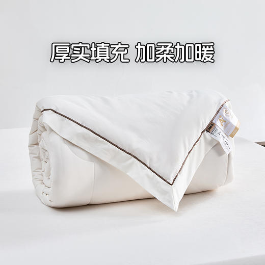 多喜爱 澳境纯羊毛加厚冬被【100%澳洲羊毛】【60S全棉贡缎】【足料填充】丝光工艺 柔暖不闷 加厚填充 烫钻工艺 PU皮手提包 商品图4