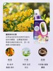 花王洗衣液补充装900g 商品缩略图1