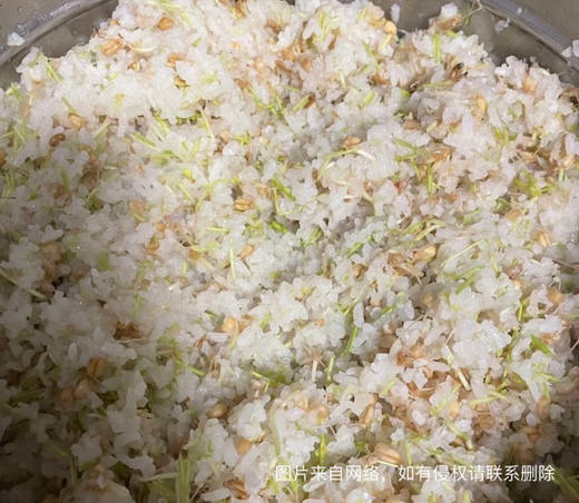 古法麦芽糖来啦，黏住时光的甜蜜琥珀——这口千年古方麦芽糖，不蛀牙还养脾胃基地直邮 商品图2