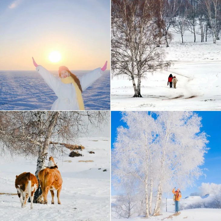 周末2天【乌兰布统548元】越野穿越雪原の塞北雪乡-马踏飞雪-冰雪童话-摄影深度游