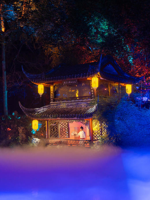 12.14/1.1【崇州·院中白果黄，陆游吟】纪念陆游诞辰900周年特别半日游学活动：罨画池沉浸式体验/ 实景文学鉴赏·赏百年银杏 / 自然科普 /《陆游·梦回罨画》夜景艺术表演欣赏 商品图4