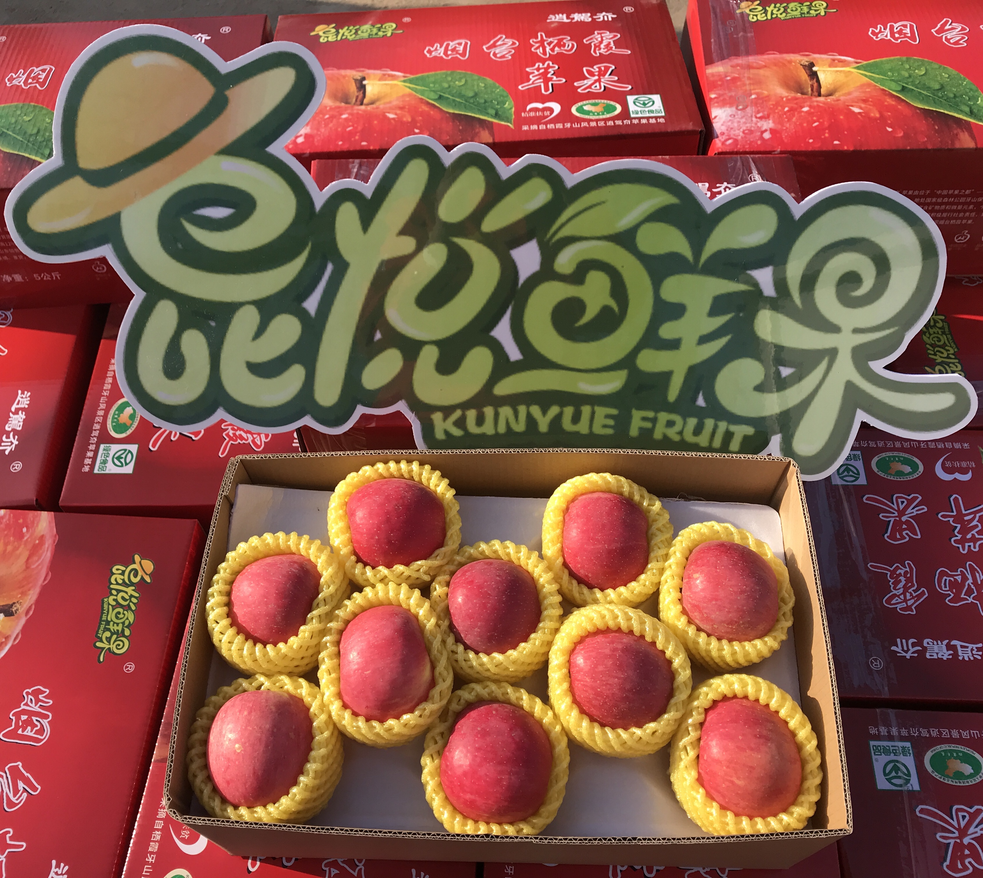 昆悦鲜果 逍駕夼 红富士苹果80#10斤 箱（线上包邮）