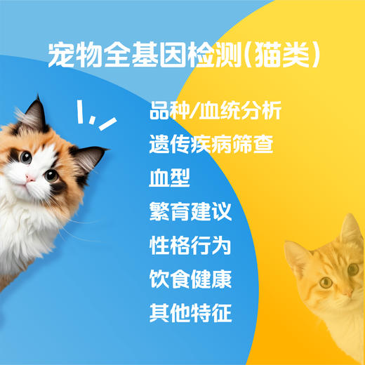 【解觅-华大宠物基因检测】猫犬品种鉴定血型遗传疾病性格饮食分析 商品图3
