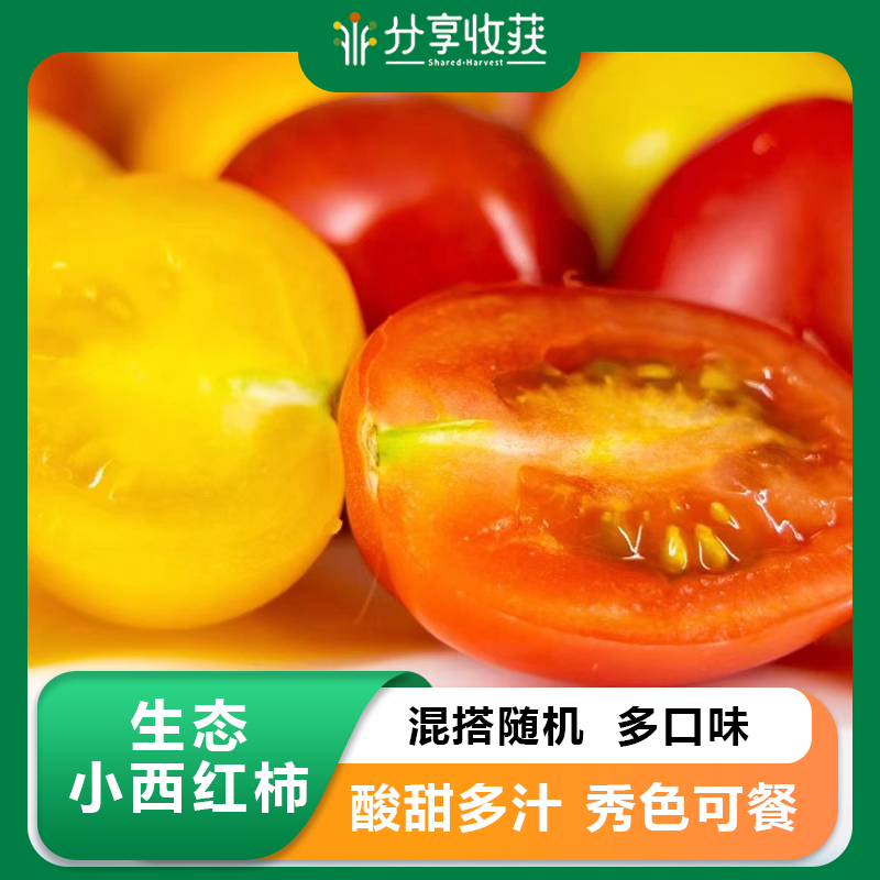 生态小西红柿 | 混搭随机 | 多口味 酸甜多汁 | 石嫣农场 * Eco-friendly Cherry Tomatoes