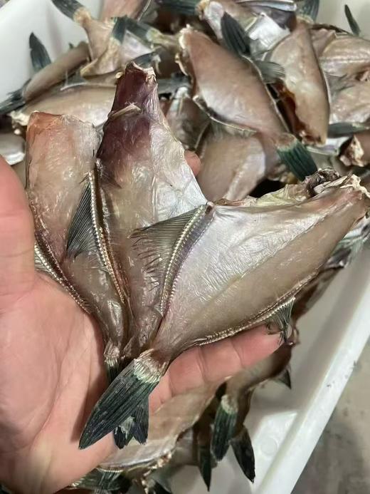 【西北风吹干的鱼鲞 】上锅清蒸10-12分钟即可，鱼肉鲜香，下酒休闲好味道 商品图2