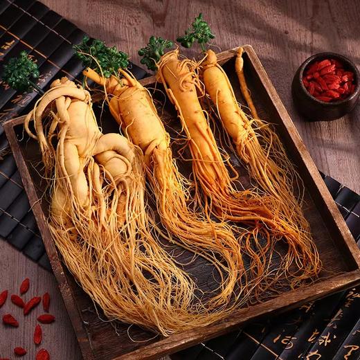 长白山鲜人参【29元10根】丨甄选足龄人参 袋装保鲜参煲汤泡酒 商品图0