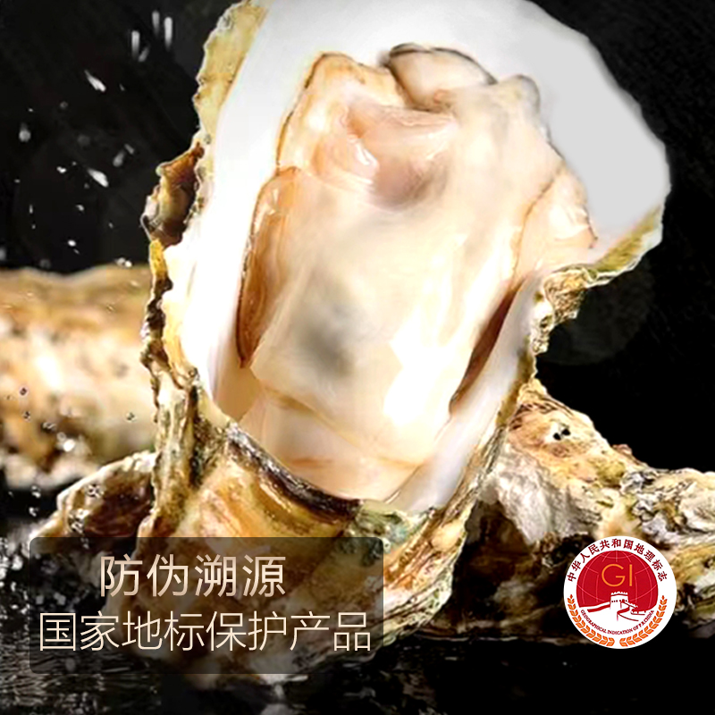 乳山牡蛎 乳山生蚝 国家地理标志产品 五斤装（京东快递发货）