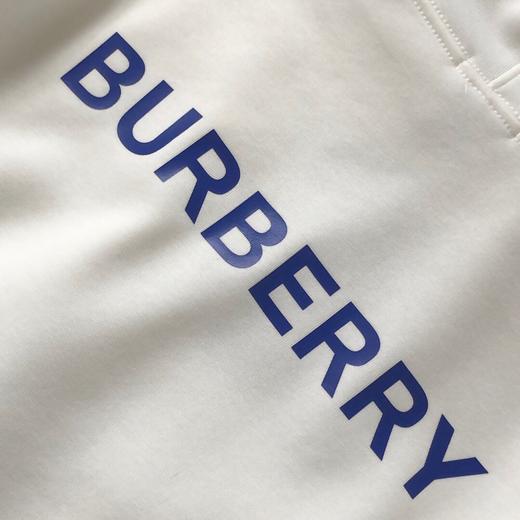 D111726新款后背字母logo男女款加绒连帽卫衣 商品图9