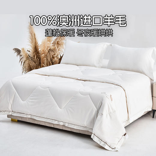 多喜爱 澳境纯羊毛加厚冬被【100%澳洲羊毛】【60S全棉贡缎】【足料填充】丝光工艺 柔暖不闷 加厚填充 烫钻工艺 PU皮手提包 商品图1