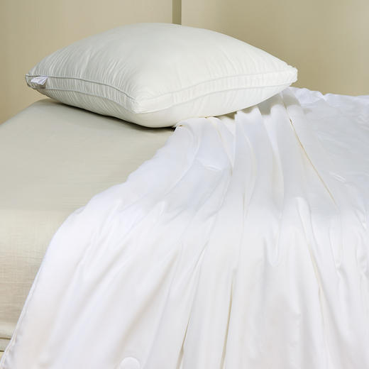 [水星家纺]天赋长绒棉A类抗菌桑蚕丝被(200cm×230cm) 商品图5