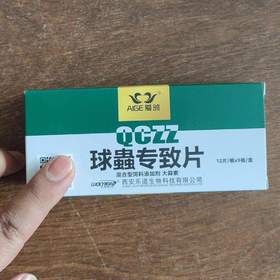 【球虫专治片】杀灭影响鸽子健康的九种球虫（乐道）