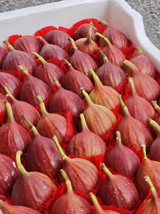 无花果（盒） 商品图1