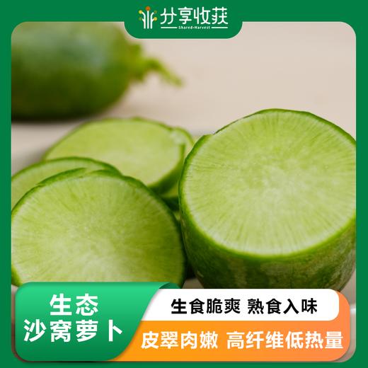 生态沙窝萝卜| 石嫣农场 *Ecological Shawa Village Radish‌ 商品图0