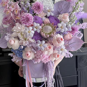 《远山黛》帝王花郁金香大丽花掌薄雾紫抱抱桶