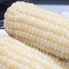 农福翁东北黄糯玉米 新季玉米 蒸煮烧烤 新增白甜糯玉米 商品缩略图1