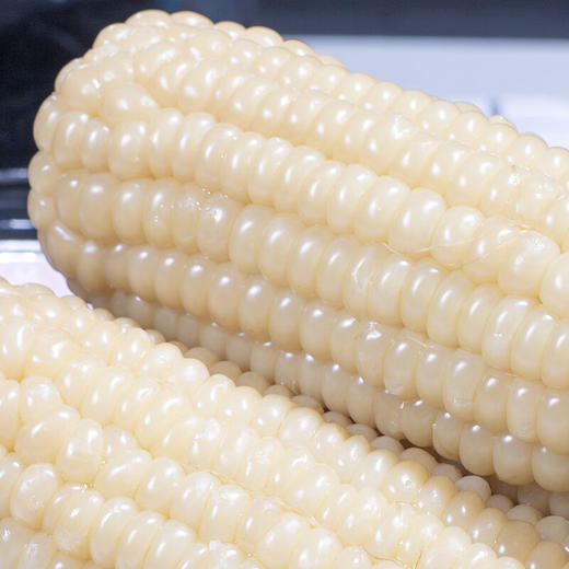 农福翁东北黄糯玉米 新季玉米 蒸煮烧烤 新增白甜糯玉米 商品图1