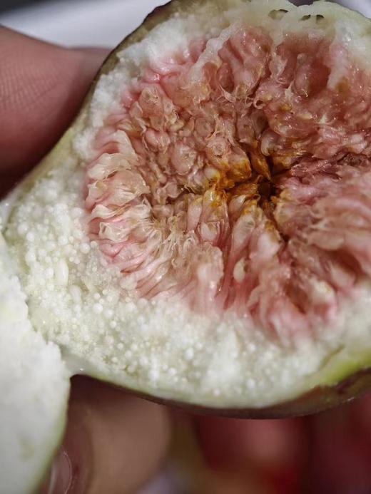 无花果（盒） 商品图2