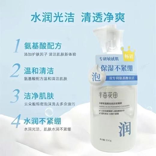 半亩花田氨基酸泡泡洁面慕斯 收缩毛孔温和不刺激除螨抑菌洗面奶乳 商品图2