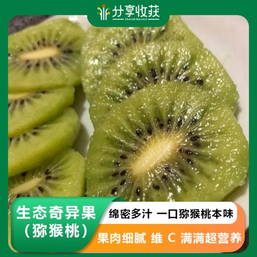 生态奇异果 （猕猴桃）| 合作生产 | 基地直发* kiwi fruit 商品图0