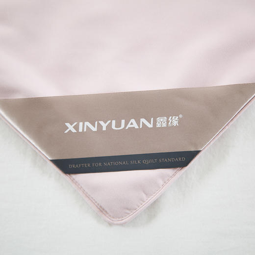 鑫缘 贵族系列纯蚕丝被 ANZC-1 商品图3