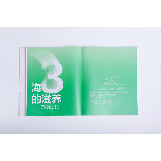 什么是新疆 商品图3