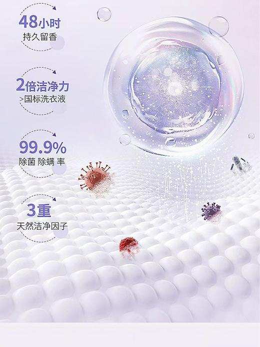 花王洗衣液补充装900g 商品图3