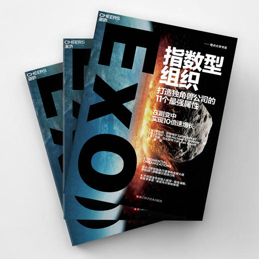 湛庐┃指数型组织 商品图2