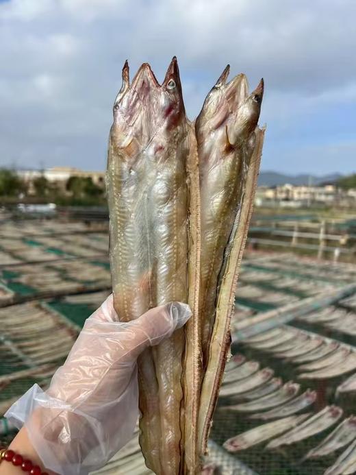 【野生沙鳗鲞】 没有细刺，油麻麻也不咸😋 商品图1