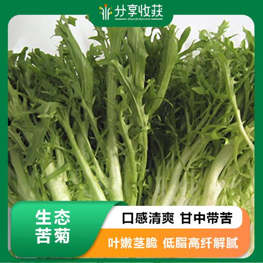 生态苦菊 | 口感清爽 甘中带苦 | 石嫣农场 | Bitter Chrysanthemum 商品图0
