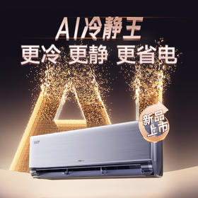 Ai冷静王变频冷暖1级能效挂机空调 （温馨白）(WIFI)26529/35529