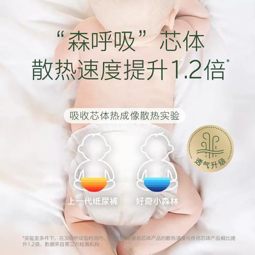 好奇心钻小森林纸尿裤拉拉裤轻薄透气尿不湿 商品图4