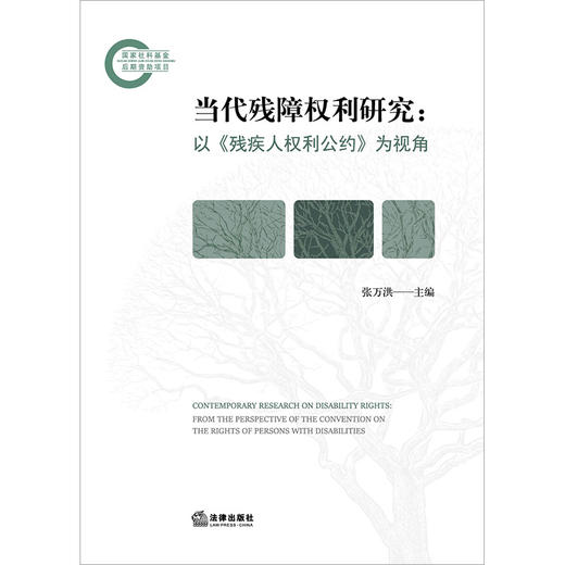 当代残障权利研究：以《残疾人权利公约》为视角 张万洪主编 法律出版社 商品图1