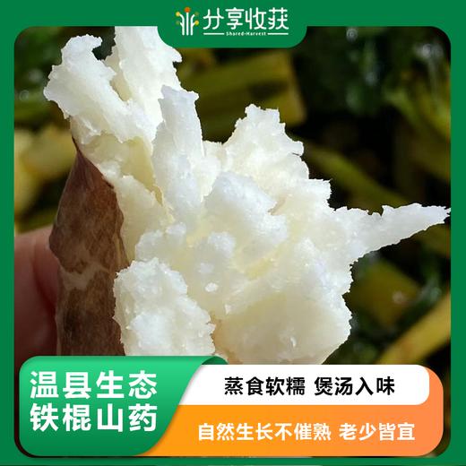 温县生态铁棍山药 | 合作生产 | 基地直发包邮 * Wenxian Ecological Iron Rod Yam 商品图0