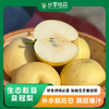 生态赵县皇冠梨  | 基地直发包邮*Ecological Crown Pear 商品缩略图0