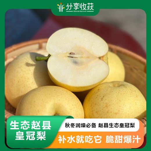 生态赵县皇冠梨  | 基地直发包邮*Ecological Crown Pear 商品图0