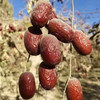 俗话说“一日食三枣，百岁不显老” 【若羌红枣】被誉为天然的维生素丸 具有补Q益X，养血安神的作用✌️ 商品缩略图4