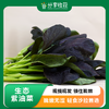 生态紫油菜 |  脆嫩清甜‌ | 石嫣农场 商品缩略图0