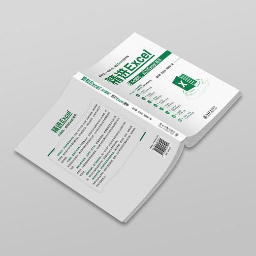 精进Excel：AI赋能，成为Excel高手 周庆麟 孔长征 周奎奎 著 北京大学出版社 商品图3