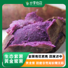 生态紫薯&黄金蜜薯（红薯）| 合作生产 | 基地直发|  * Ecological purple sweet potato & golden honey sweet potato 商品缩略图0