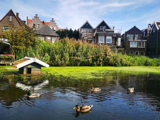 4.14确定出发【荷兰&比利时】春日璀璨花海12天摄影<环球寻梦> 商品图13