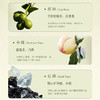 【马尔堡长相思】暮光恋人破晓长相思 进口干白葡萄酒 12.5%vol 商品缩略图3