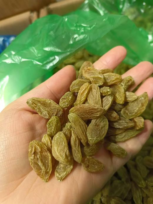 【列夫绿香妃葡萄干】软糯香甜 肉厚无籽 商品图4