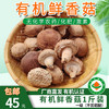 【厂商直发】有机鲜香菇段木香菇1斤/2斤香味浓郁肉质厚实自然鲜美包邮 商品缩略图0