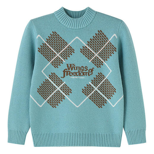 【实体店同款】男童圆领针织衫冬季新款安奈儿童装AB544043 商品图5