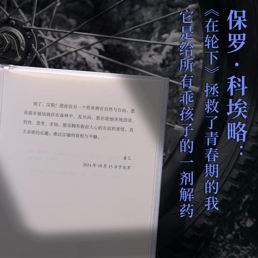 在轮下（德）赫尔曼·黑塞 著 姜乙德文直译 控诉教育体制 反内卷 外国小说 商品图3