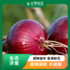 生态洋葱 | 口感独特 | 石嫣农场 Ecological Onion 商品缩略图0