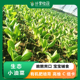 生态小油菜 | 清脆鲜嫩 | 石嫣农场 * Eco-friendly Baby Rapeseed