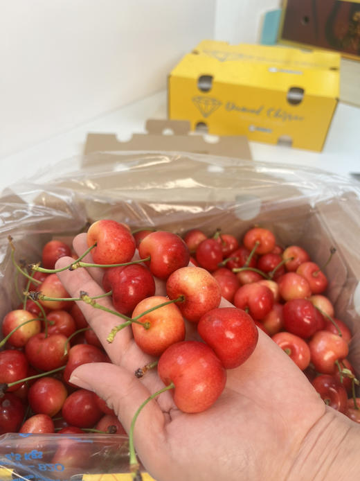 智利雷尼尔黄车🍒，硬、脆、甜、 商品图3