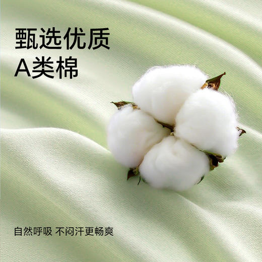 【首穿免洗】Freego「非一次性」A类男士10A抗菌平角裤 商品图4