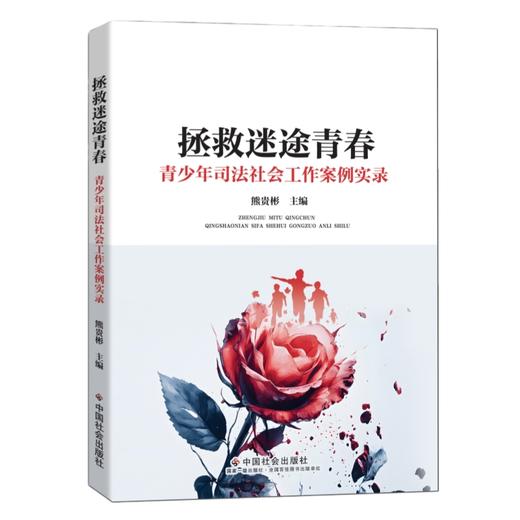 拯救迷途青春：青少年司法社会工作案例实录 商品图0